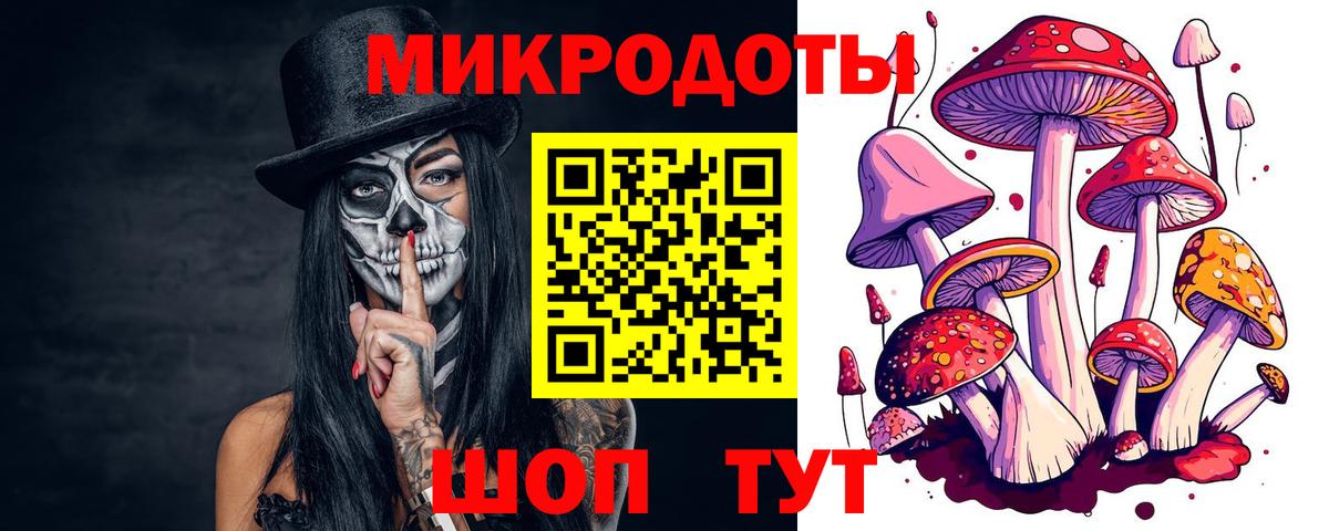 Псилоцибиновые грибы GOLDEN TEACHER  Псилоцибиновые грибы прущие грибы  Вход с VPN  Курганинск 
